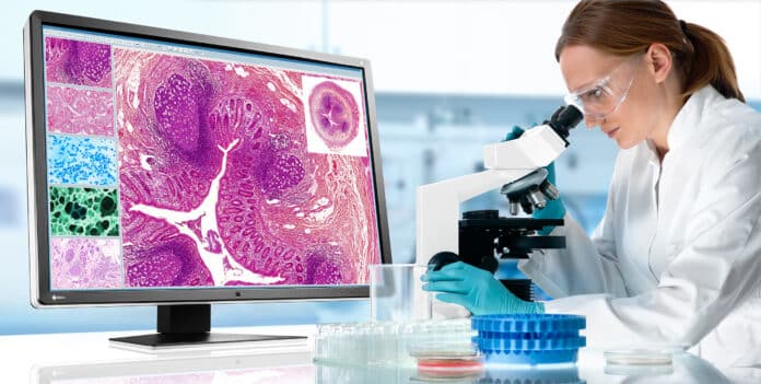 pathologie-workflow