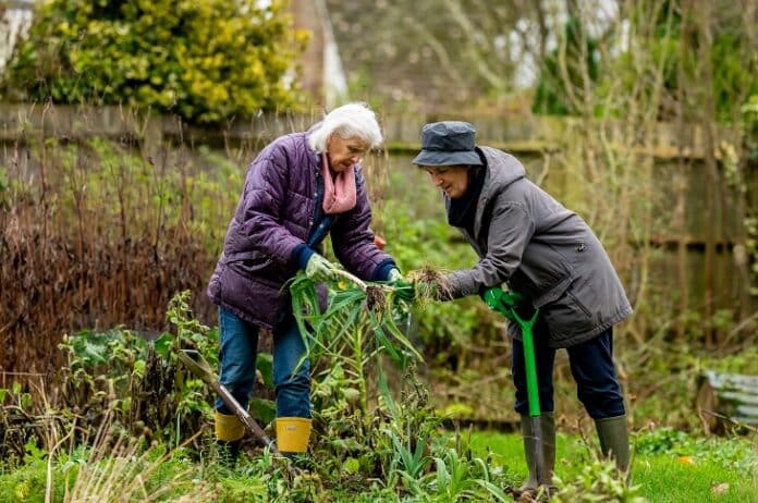 Het Nieuwe Wonen - 2 dames op leeftijd oogsten groente uit moestuin